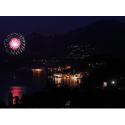 Tour Serale e Cena Vista Lago: Magia sul Lago di Como