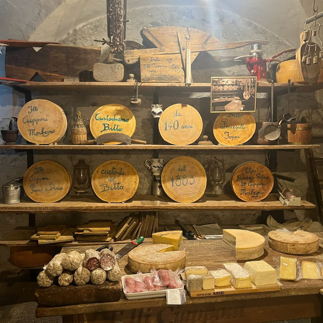 Cheese Tour